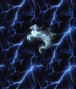 Lightning - Fuchs 70cm - BIO French Terry